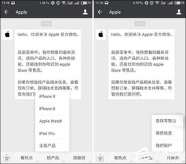 蘋果微信公眾號功能詳解與信息系統(tǒng)集成服務(wù)